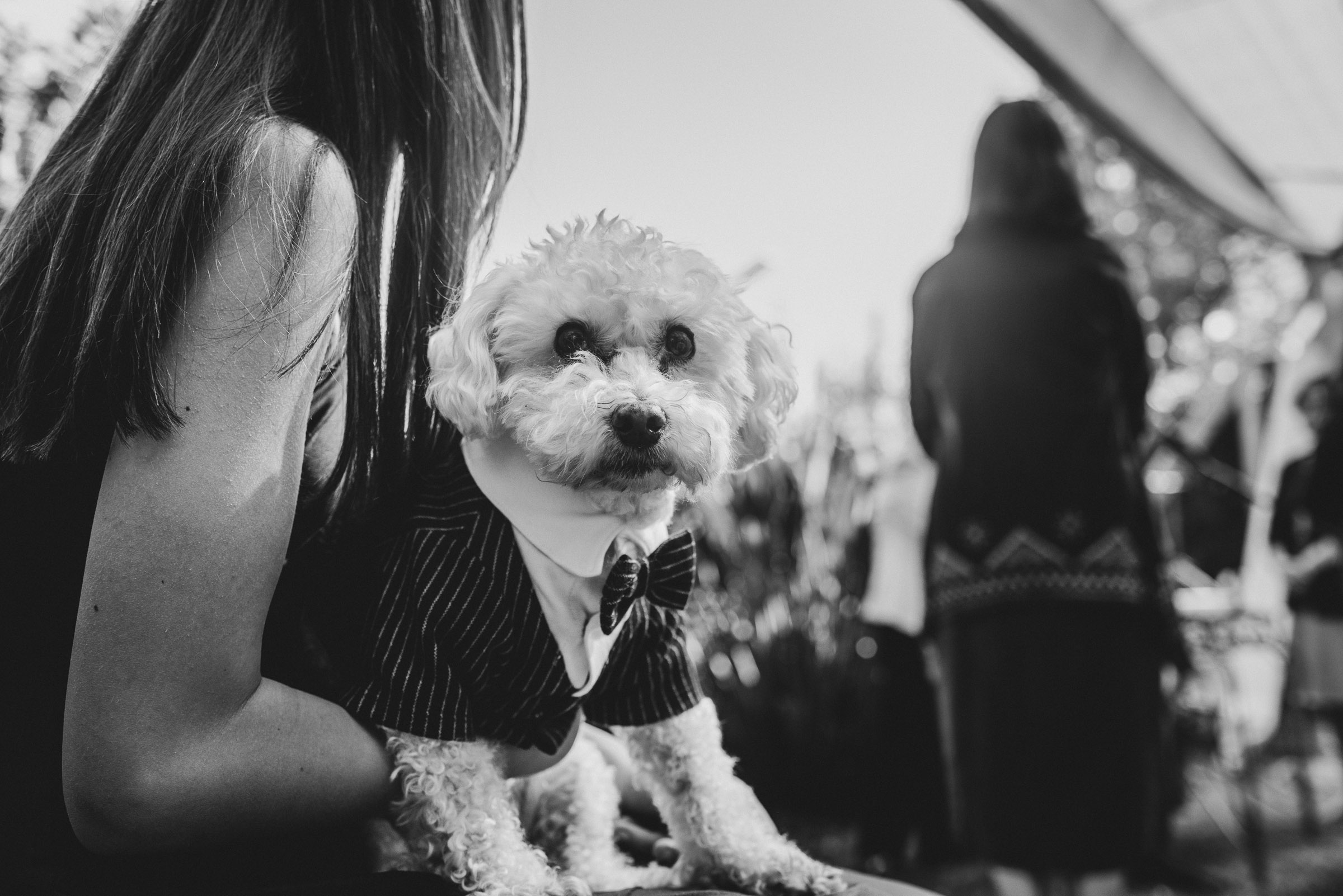 Lucia&José -12